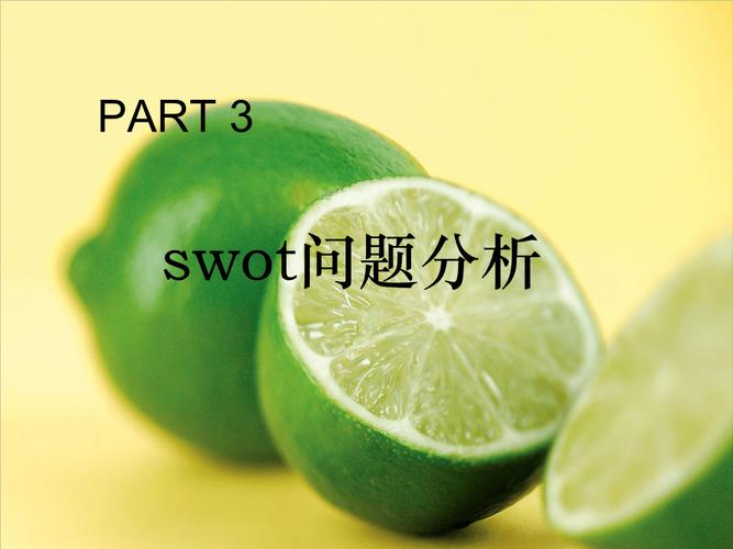 汇源果汁市场营销策划书